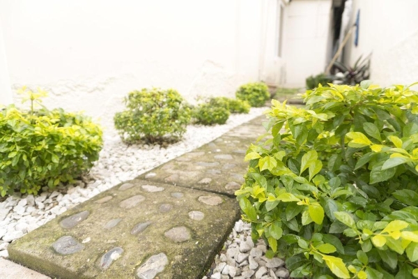 Micro Hotel Rio de Piedras (San Pedro Sula)